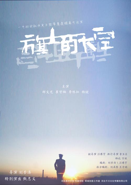 买个假的假爱尔兰护照电子版